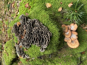 Tourenbericht