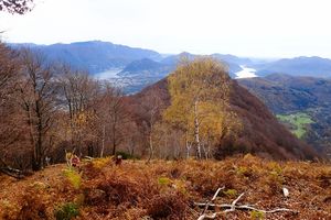 Tourenbericht