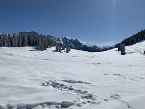 Tourenbericht