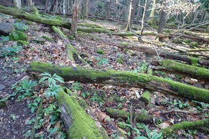Tourenbericht