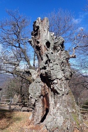 Tourenbericht