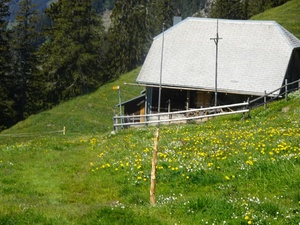 Tourenbericht