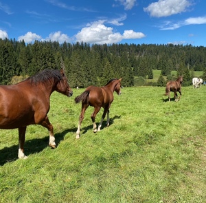 Tourenbericht