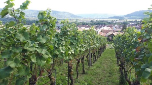 Tourenbericht