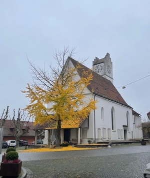Tourenbericht