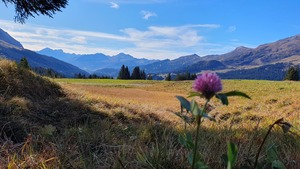 Tourenbericht