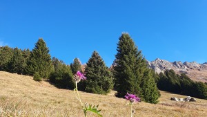 Tourenbericht