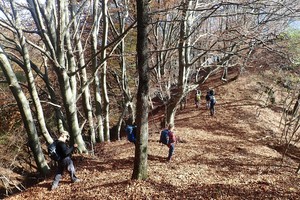 Tourenbericht