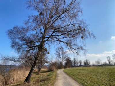 Tourenbericht