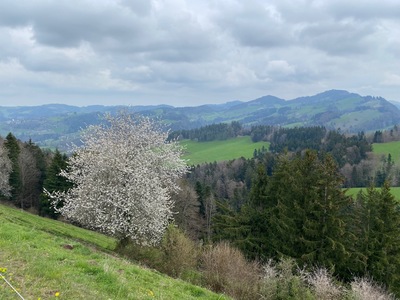 Tourenbericht