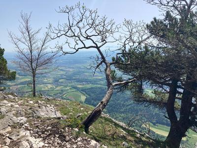 Tourenbericht