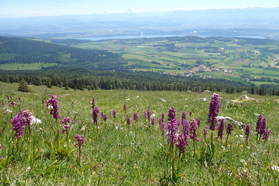 Tourenbericht