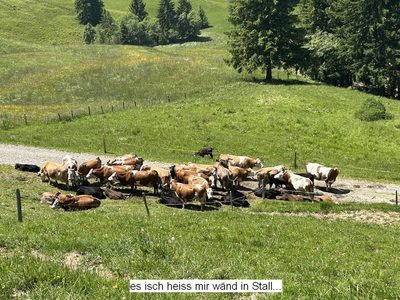 Tourenbericht
