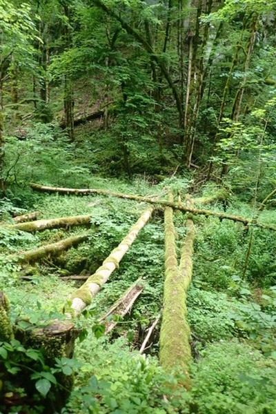 Tourenbericht